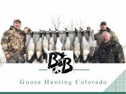 Goose Hunting In Colorado