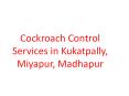 Cockroach Control Services in Kukatpally, Miyapur, Madhapur PowerPoint PPT Presentation
