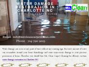 Water Damage Restoration