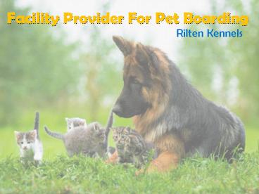 Best Pet Boarding - Rilten Kennels