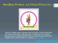 New Baby Flowers - by Trillium Florist, Inc. PowerPoint PPT Presentation