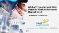 Global Transdermal Skin Patches Market Research Report 2018 PowerPoint PPT Presentation