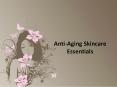 Anti-Aging Skincare Essentials PowerPoint PPT Presentation