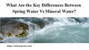 What Are the Key Differences Between Spring Water Vs Mineral Water?