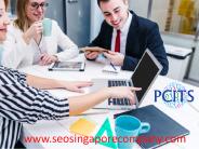 Search Engine Optimization Techniques | Singapore