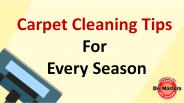 Carpet Cleaning Tips For Every Season