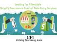 All Your ecommerce Data Entry Services at One point PowerPoint PPT Presentation