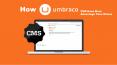 How Umbraco CMS Have More Advantage Than Others PowerPoint PPT Presentation