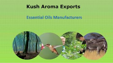 Pure Essential Oils Manufacturers