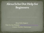 Alexa Echo Dot Help for Beginners
