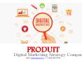 Grow Your Business Online with Digital Marketing Company – Produit PowerPoint PPT Presentation