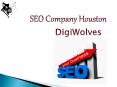 SEO Company Houston - #1 Digital Marketing Company - Digiwolves PowerPoint PPT Presentation