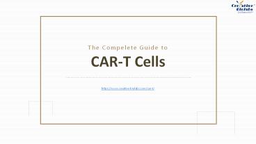 The Complete Guide to CAR-T Cells