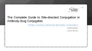 The Complete Guide to Site-directed Conjugation in Antibody-drug Conjugates