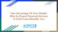 Take Advantage Of Your Wealth: Why An Expert Financial Advisor In Gold Coast Benefits You PowerPoint PPT Presentation