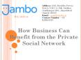 How Business Can Benefit from the Private Social Network PowerPoint PPT Presentation