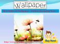 Wallpaper, Wall Decals, Wall Stickers, Wallpaper Online Sale