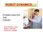 Robot Dynamics (1)