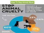 How To Stop Animal Abuse?