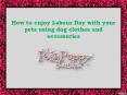 How to enjoy Labour Day with your pets using dog clothes and accessories PowerPoint PPT Presentation