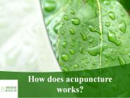 How does acupuncture works? (1)
