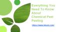 Everything You Need To Know About Chemical Peel Peeling PowerPoint PPT Presentation