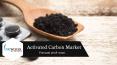 Activated Carbon Market Trends, Size, Share & Analysis 2018-2026 PowerPoint PPT Presentation
