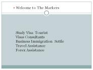 Study Abroad Consultants