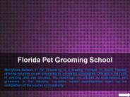Dog Grooming Schools