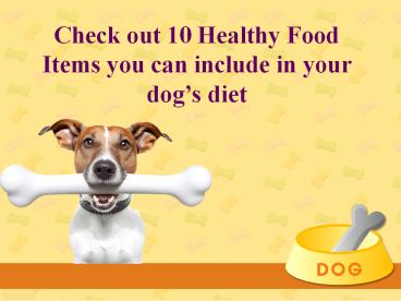 Best Food Diet Plan for Your Dog