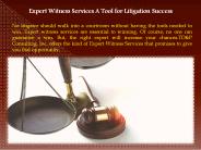 Expert Witness Services: A Tool for Litigation Success