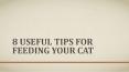 8 Useful Tips For Feeding Your Cat PowerPoint PPT Presentation