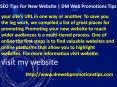 SEO Tips For New Website | DM Web Promotions Tips PowerPoint PPT Presentation