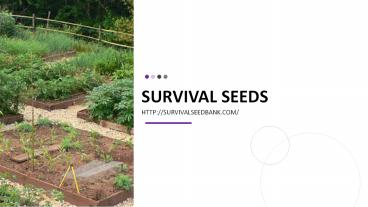Survival Seeds