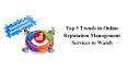 Top 5 Trends in Online Reputation Management Services to Watch PowerPoint PPT Presentation