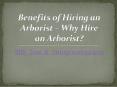 Benefits of Hiring an Arborist – Why Hire an Arborist? PowerPoint PPT Presentation