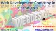Web Development Company in Chandigarh