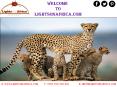 African Budget Safaris at lightsonafrica.com PowerPoint PPT Presentation