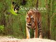 Kanha National Park, Kanha Tiger Reserve, Madhya Pradesh, India PowerPoint PPT Presentation