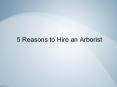 5 Reasons to Hire an Arborist - Northern Tree Services PowerPoint PPT Presentation