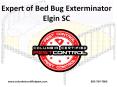 Expert of Bed Bug Exterminator Elgin SC PowerPoint PPT Presentation