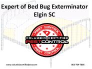 Expert of Bed Bug Exterminator Elgin SC