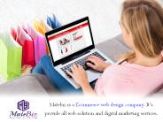 Ecommerce website Development Company – Matebiz India