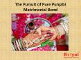 The Pursuit of Pure Punjabi Matrimonial Bond PowerPoint PPT Presentation