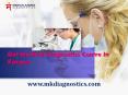 Get the Best Diagnostics Centre In Kanpur- Mangal Kamna Diagnostics PowerPoint PPT Presentation