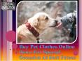 Buy Pet Clothes Online Store For Special Occasion At Best Prices