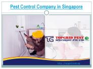 Get to Know More about Pest Control Services