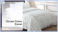 Goose Down Duvet PowerPoint PPT Presentation