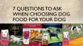 7 Questions To Ask When Choosing Dog Food PowerPoint PPT Presentation