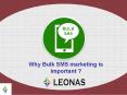 Why Bulk SMS marketing is important PowerPoint PPT Presentation